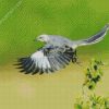 Flying Northern Mockingbird diamond painting