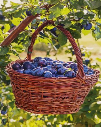 Fresh Plums Basket diamond painting