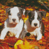 Gray American Staffordshire Terrier diamond painting