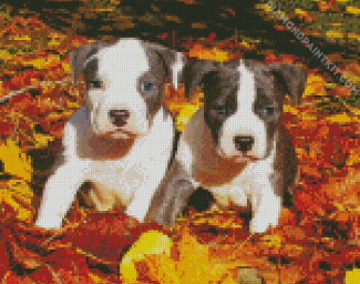 Gray American Staffordshire Terrier diamond painting