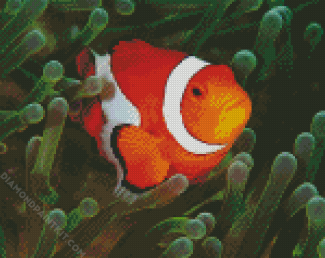 Green Anemones Clown Fish diamond painting