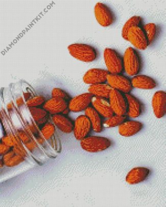 Almonds In Jar diamond painting