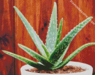 Aloe Plant diamond painting