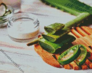 Aloe Vera Slices diamond painting