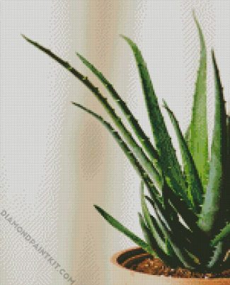 Aloe Vera diamond painting