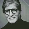 Close Up Black And White Amitabh Bachchan diamond painting