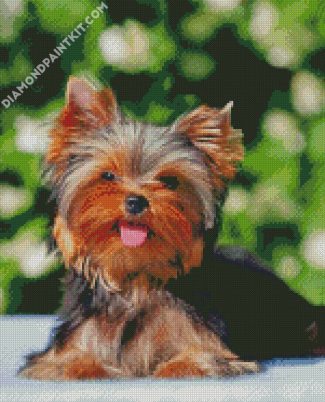 Cute Yorkies Dog diamond painting