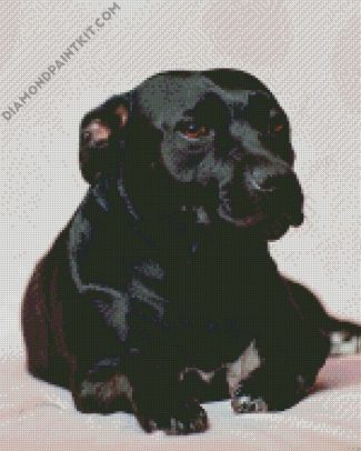 Dark Brown Staffordshire Bull Terrier diamond painting