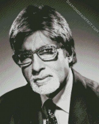 Monochrome Amitabh Bachchan diamond painting