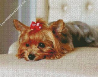 Yorkie diamond painting