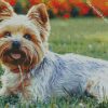 Yorkies Dog diamond painting