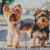 Yorkshire Terrier Puppies diamond painting