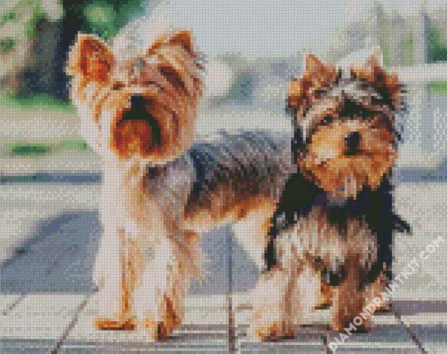 Yorkshire Terrier Puppies diamond painting