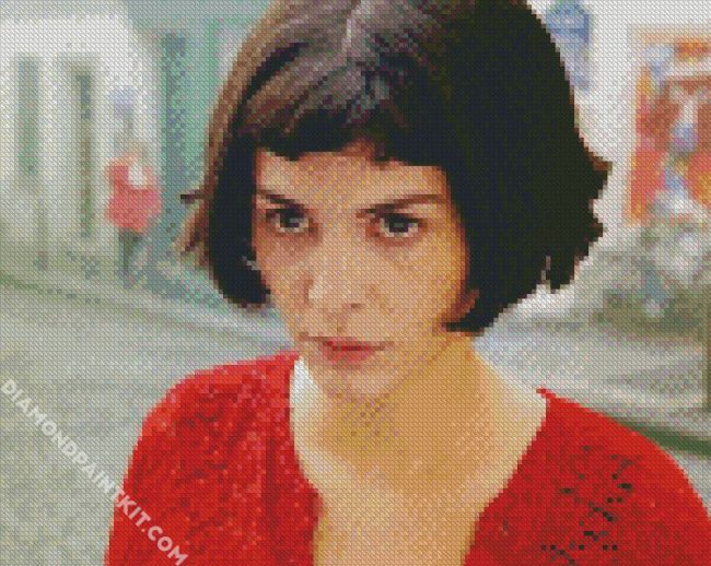 Amelie Movie diamond painting