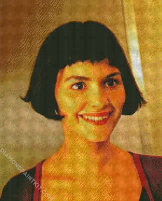 Amelie Movie Character diamond painting