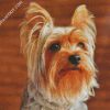 Beige And Brown Yorkshire Terrier diamond painting