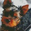 Cute Little Yorkshire Terrier diamond painting