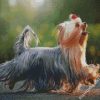 Long Hair Yorkshire Terrier diamond painting