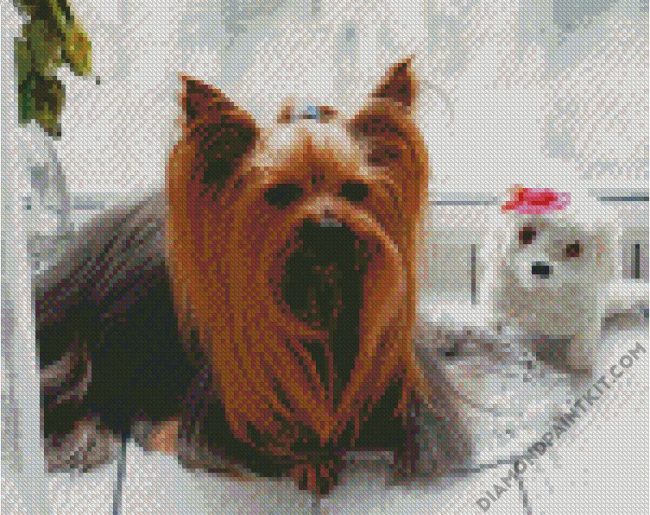 Long Hair Yorkshire Terrier And Dog Doll diamond painting