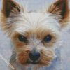 Mad Yorkie diamond painting