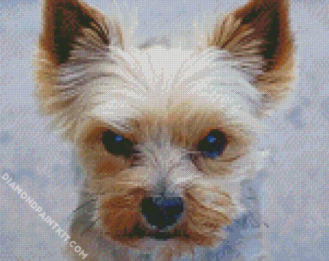 Mad Yorkie diamond painting