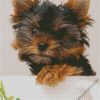 Yorkie Puppy diamond painting