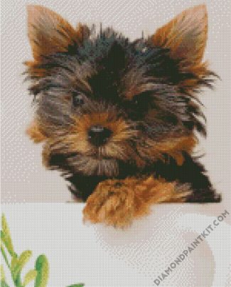 Yorkie Puppy diamond painting