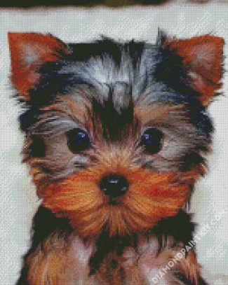 Yorkie Tea Cup diamond painting