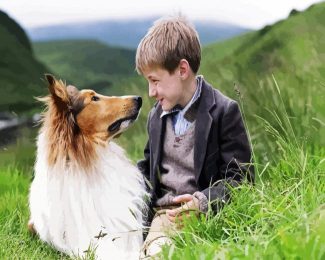 Joe And Lassie diamond painting