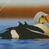 King Eider diamond painting