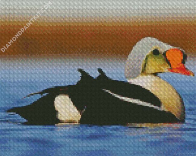 King Eider diamond painting