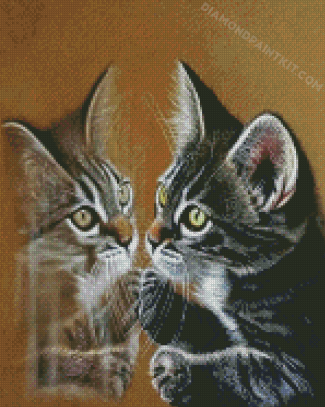 Kitten Reflection diamond painting