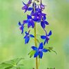 Larkspur Flowering Plant diamond painting