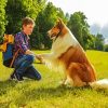 Lassie And Joe Carraclough diamond painting