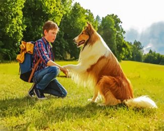 Lassie And Joe Carraclough diamond painting