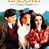 Lassie Come Home Poster diamond painting