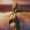 Lion Reflection diamond painting