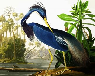 Louisiana Heron By John James Audubon diamond painting