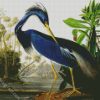 Louisiana Heron By John James Audubon diamond painting