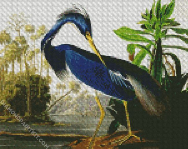 Louisiana Heron By John James Audubon diamond painting