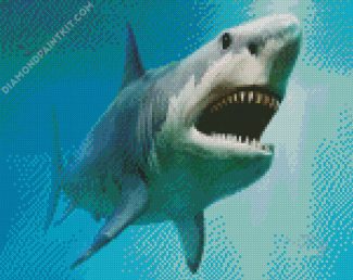 Megalodon Fish Underwater diamond painting