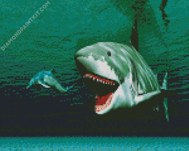 Megalodon Shark diamond painting