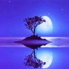 Moon Light Reflection diamond painting