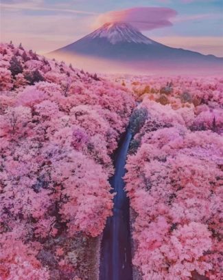 Mt Fuji With Cherry Blossoms diamond painting