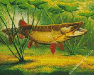 Musky Fish Underwater diamond painting