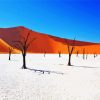 Namibia Desert diamond painting