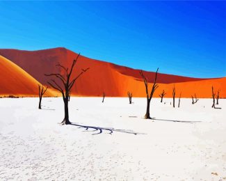 Namibia Desert diamond painting