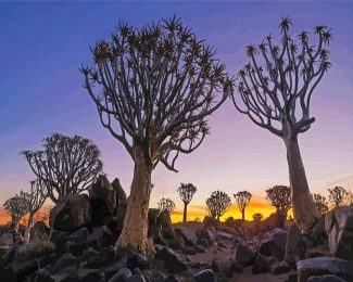 Namibia Aloe Dichotoma Trees diamond painting