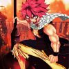 Natsu Dragneel Anime diamond painting