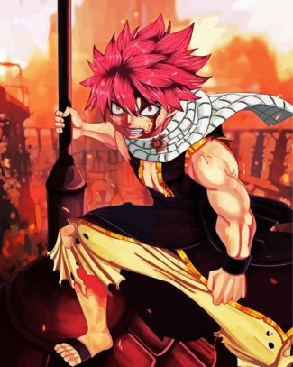 Natsu Dragneel Anime diamond painting